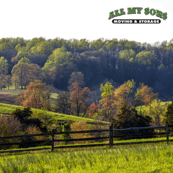 rolling hills and trees in mechanicsville, virginia