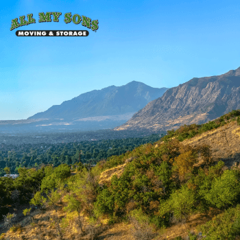 mountains and forests surrounding ogden, ut