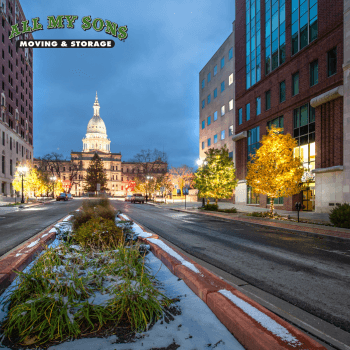 downtown detroit buildings and trees lit up during winter