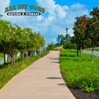 A trail leading towards Woodlands Lake