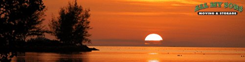 the sun setting over the everglades in south florida