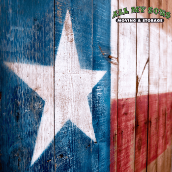 wooden texas state flag sign