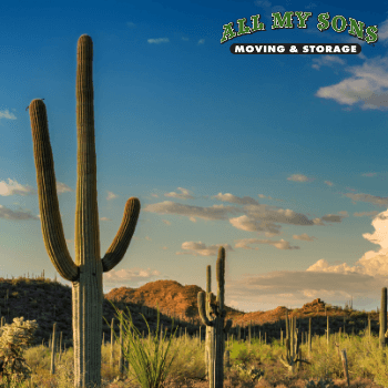 The skyline of Tucson, Arizona.