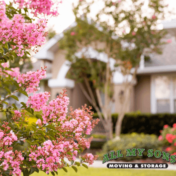 a pink flower bush out front of a beige house in hialeah, florida