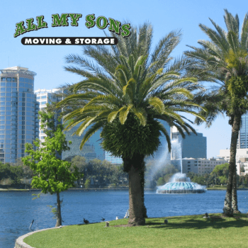 short palm trees along waterfront near miami, florida